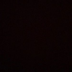 Meet your Posher, Savannah